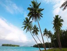 瓦努阿图参股亚洲银行 Vanuatu paid VT50m for shares in Asian Bank